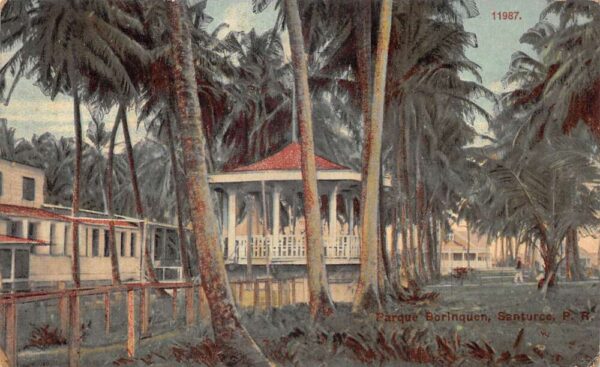 Santurce Puerto Rico Parque Borinquen Palm Trees Gazebo Vintage Postcard AA90797