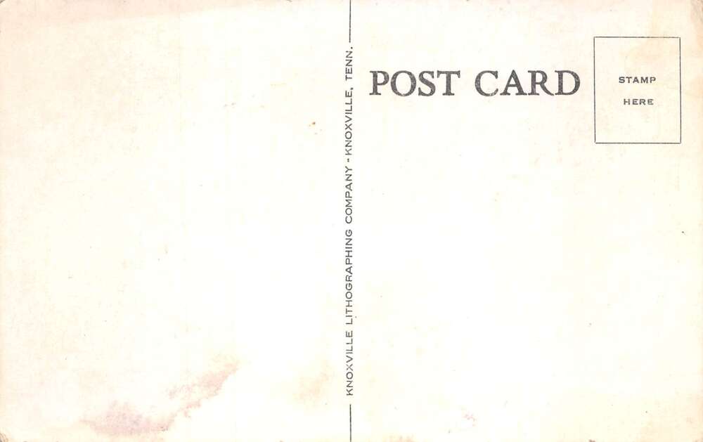 Gainesville Florida Hotel Thomas Mini Golf Vintage Postcard AA90807 - Image 2