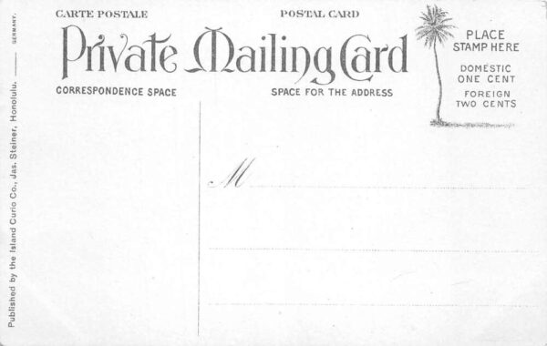 Honolulu Hawaii Fish Kawa Private Mail Vintage Postcard AA90813 - Image 2
