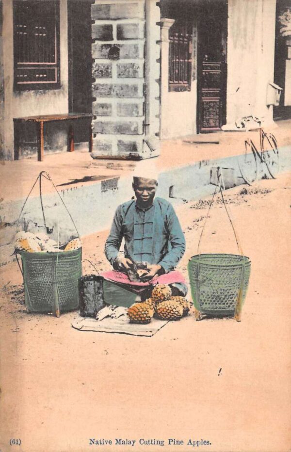 Malaysia Native Man Cutting Pineapples Vintage Postcard AA90816