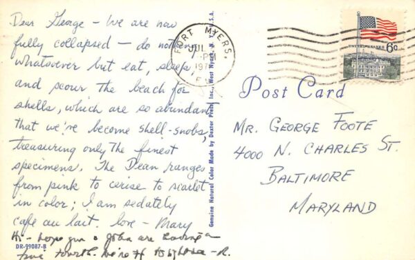 Sanibel Captiva Islands Florida Greetings Seashells Vintage Postcard AA90833 - Image 2