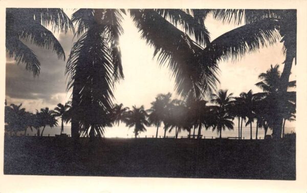 Miami Beach Florida Ocean Front view Real Photo Vintage Postcard AA90842