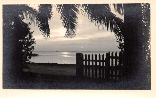 Miami Beach Florida Scenic Landscape Real Photo Vintage Postcard AA90846