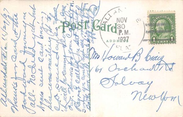 Allandale Florida The Sentinels Scenic View Vintage Postcard AA90853 - Image 2
