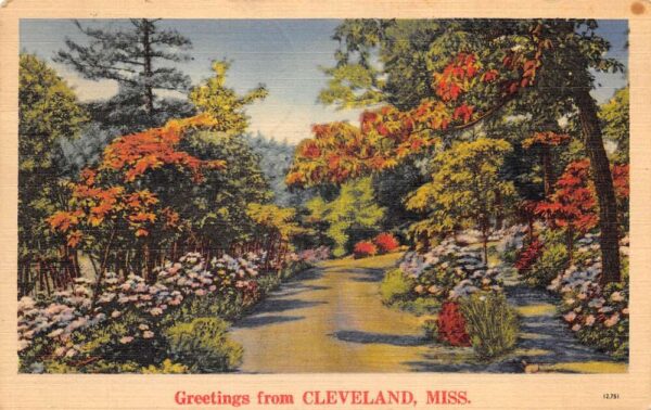 Cleveland Mississippi Greetings Scenic View Vintage Postcard AA90861