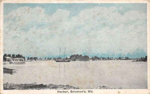 Solomons Island Maryland Harbor View Vintage Postcard AA90933
