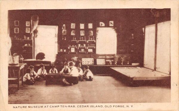 Cedar Island New York Camp Ten-Rab Nature Museum Interior Postcard AA90950