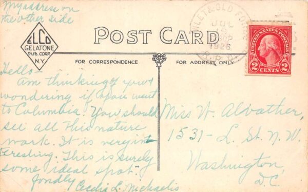Cedar Island New York Camp Ten-Rab Nature Museum Interior Postcard AA90950 - Image 2