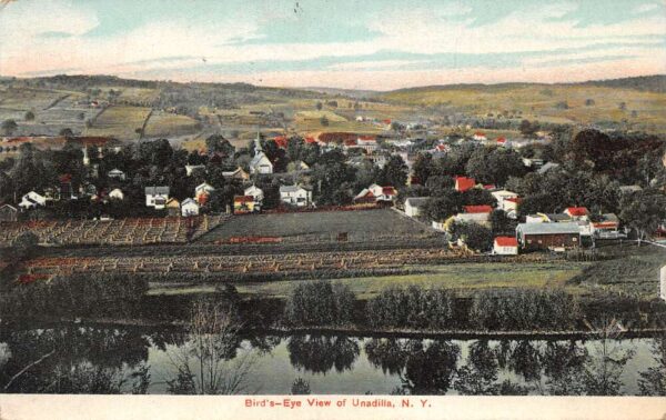 Unadilla New York Birds Eye View Vintage Postcard AA90975