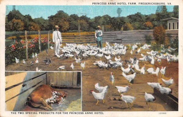 Fredericksburg Virginia Princess Anne Hotel Farm Vintage Postcard AA90998
