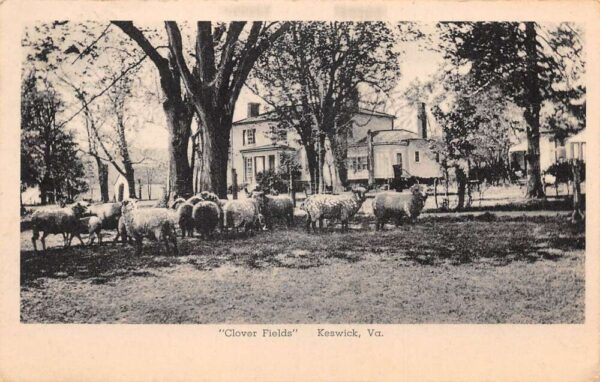 Keswick Virginia Clover Fields Sheep Vintage Postcard AA91074