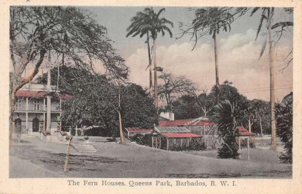 Queens Park Barbados BWI The Fern Houses Vintage Postcard AA91090