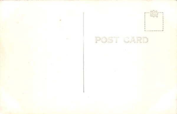 Georgetown South Carolina Winyah Indigo Society Real Photo Postcard AA91127 - Image 2