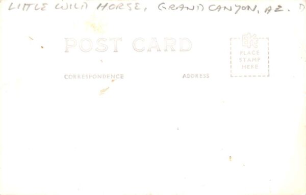 Grand Canyon Arizona Wild Horses Real Photo Vintage Postcard AA91143 - Image 2