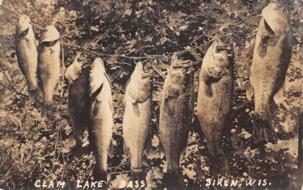 Siren Wisconsin Clam Lake Bass Fishing Real Photo Vintage Postcard AA91154