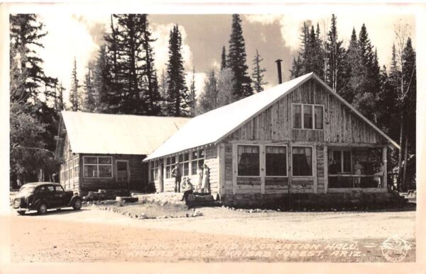Kaibab National Forest Arizona Kaibab Lodge Dining Room Real Photo PC AA91162