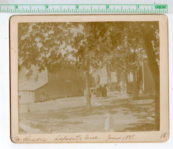 Lafayette Wisconsin W Hendrix Farm Real Photo Vintage Cabinet Photo AA91173