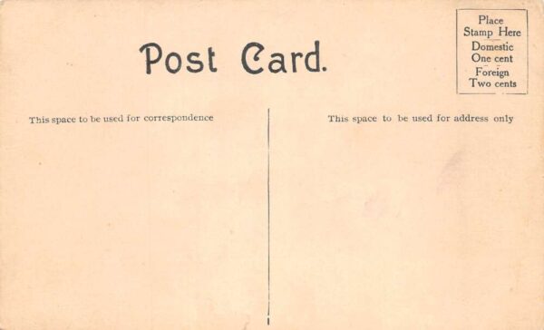 New York City Chinatown Pell Street Wein Ying Chop Suey Postcard AA91246 - Image 2
