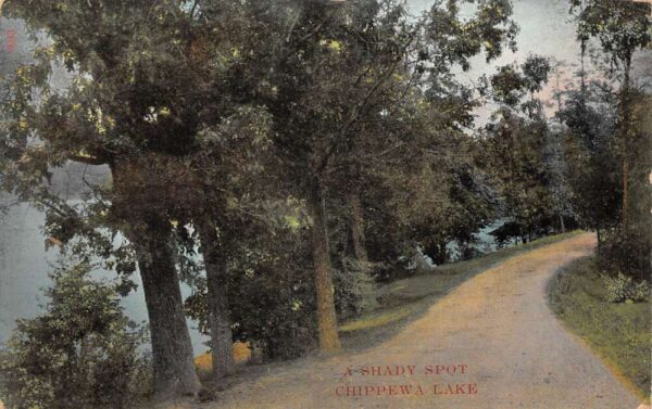 Chippewa Lake Ohio Dirt Road Scenic View Vintage Postcard AA91516
