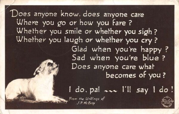 JP McEvoy Quote and Small Dog Greetings Frasher Real Photo Postcard AA91543