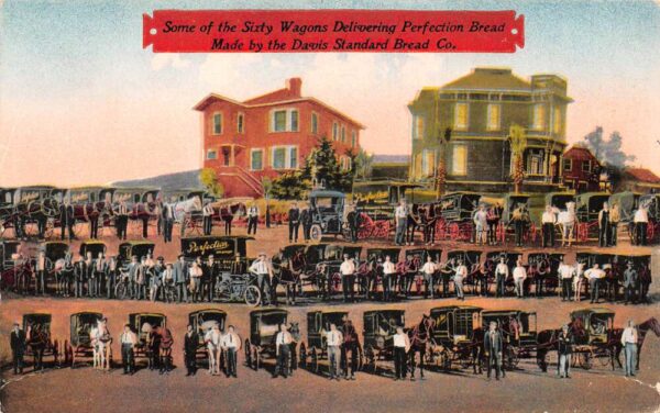 Los Angeles California Davis Bread Delivery Wagons Vintage Postcard AA91929