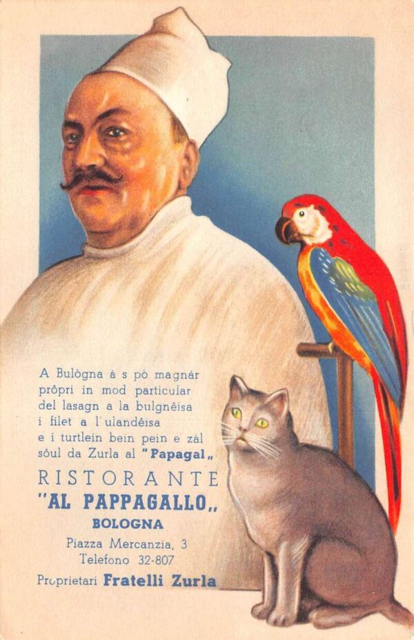 Bologna Italy Al Pappagallo Restaurant Ad Chef with Cat and Parrot PC AA91947