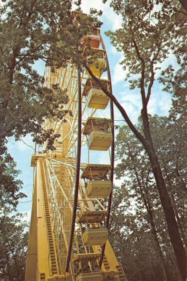 Jackson New Jersey Great Adventure Amusement Park Giant Ferris Wheel PC AA92007