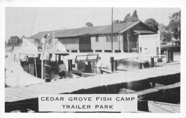 Ruskin Florida Cedar Grove Fish Camp and Trailer Park Vintage Postcard AA92059