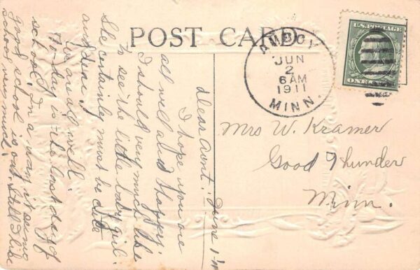 Amboy Minnesota Presbyterian Church Pink Carnation Flower Border PC AA92076 - Image 2
