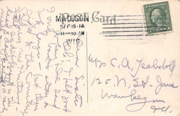 Madison Wisconsin Madison Sanitarium, B/W Lithograph, Vintage Postcard U21352 - Image 2