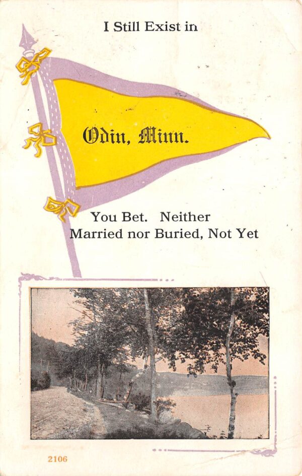 Odin Minnesota Pennant From Odin, Landscape Scene, Vintage Postcard U21434
