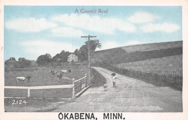 Okabena Minnesota A Country Road, Sky Tinted, Vintage Postcard U21435