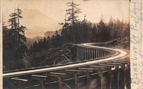 Puget Sound Washington Flume Line Railroad Scene Real Photo Postcard AA92365