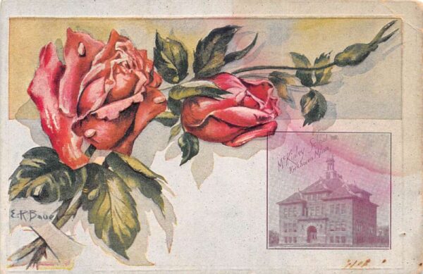 Kerkhoven Minnesota McKinley School Red Roses Vintage Postcard AA92385