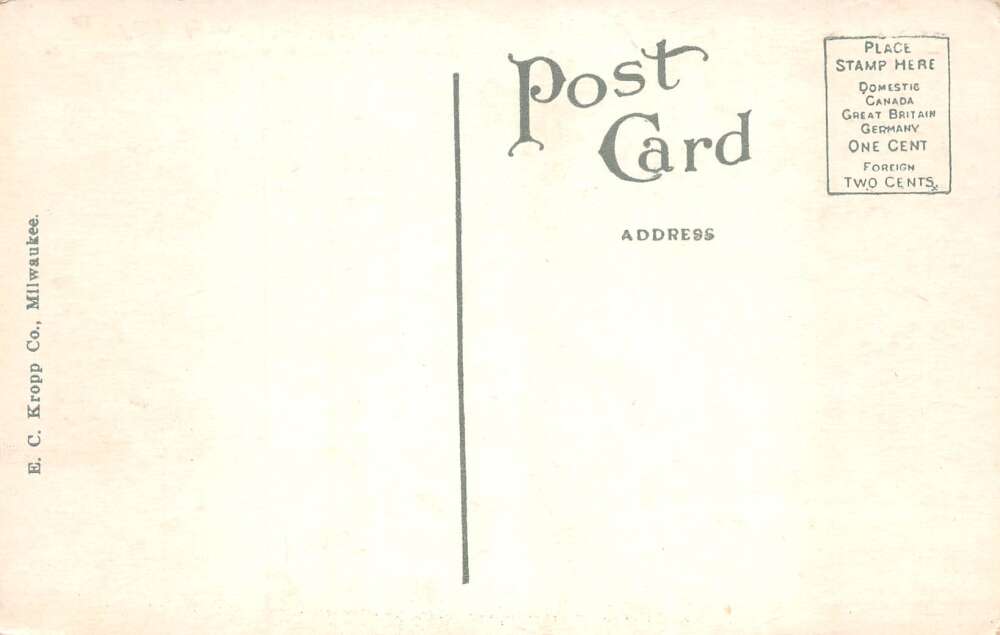 Salem Virginia Roanoke Women's College Vintage Postcard AA92412 - Image 2