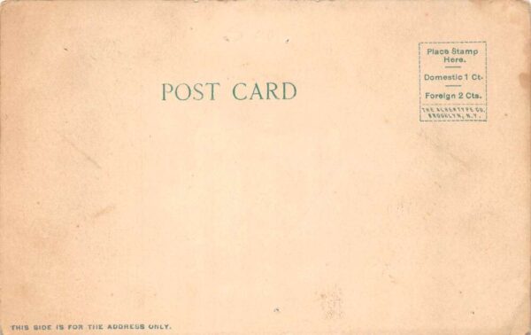 Jacksonville Florida Hotel Windsor Hemming Park Vintage Postcard AA92423 - Image 2