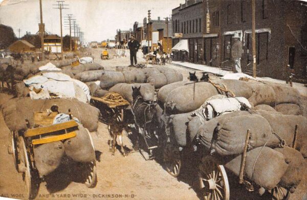 Dickinson North Dakota Horse Wagons carrying Wool Vintage Postcard AA92447