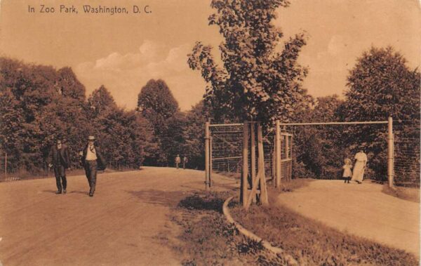 Washington DC People in Zoo Park Vintage Postcard AA92998