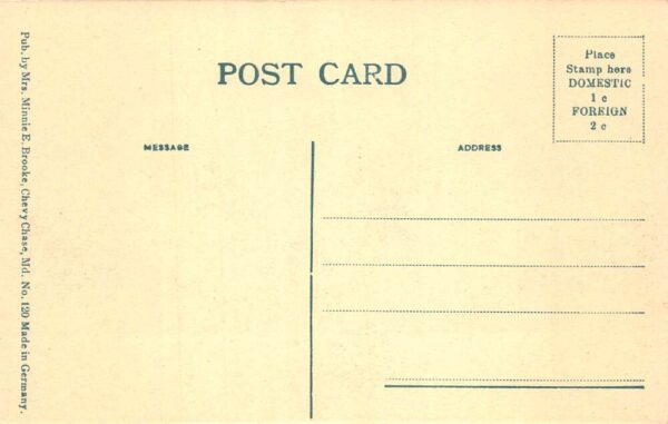Washington DC Zoo Park Polar Bears Vintage Postcard AA93002 - Image 2