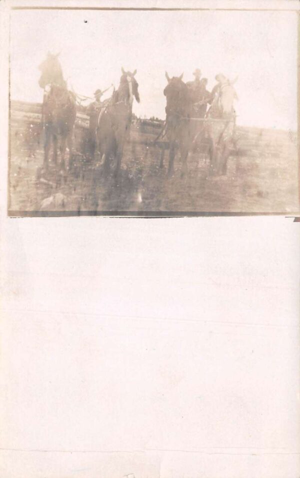Sebeka Minnesota Farming Scene Horse Plows Real Photo Postcard AA93288