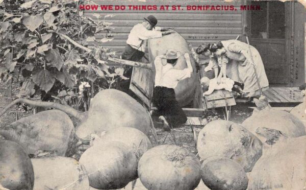 St Bonifacius Minnesota Farming Scene Potato Exaggeration Postcard AA93290
