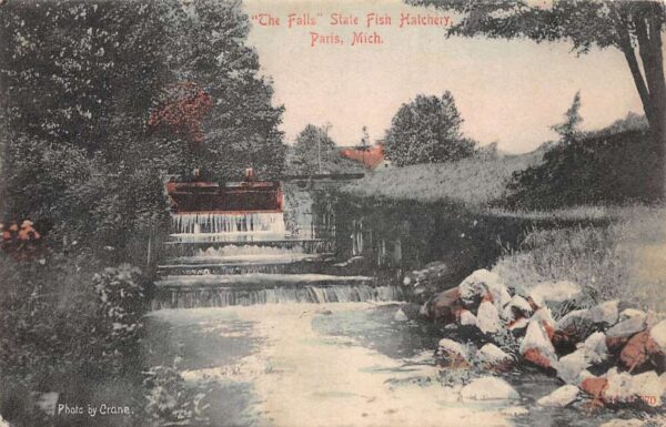 Paris Michigan "The Falls", State Fish Hatchery, Vintage Postcard U21928