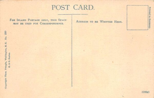 New Zealand Maori Woman Smoking Tobacco Pipe Vintage Postcard AA98884 - Image 2