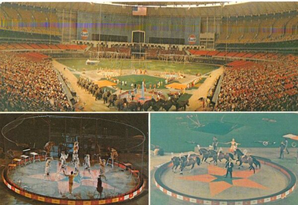 Ringling Bros Barnum Bailey Circus Show 1966 Baseball Stadium Postcard AA99142