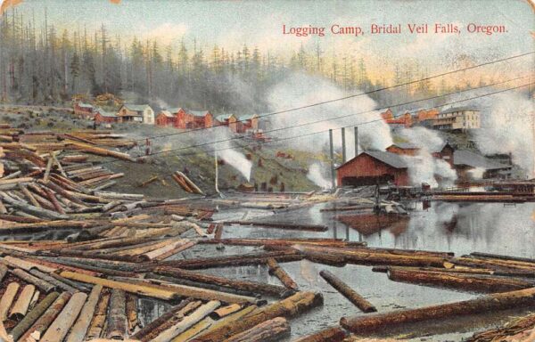 Bridal Veil Falls Oregon Logging Camp Vintage Postcard AA99174