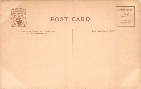 Lake Minnetonka Minnesota Big Island Park Steamboat Dock Postcard AA99175 - Image 2