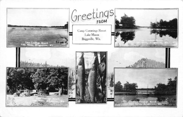 Briggsville Wisconsin Camp Cummings Resort Multiview Real Photo Postcard AA99182