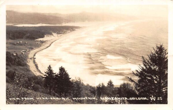 Manzanita Oregon View from Neahkahnie Mountain Real Photo Postcard AA99203