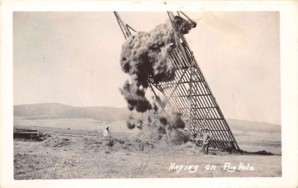 Big Hole Montana Farm Scene Haying Real Photo Postcard AA99506