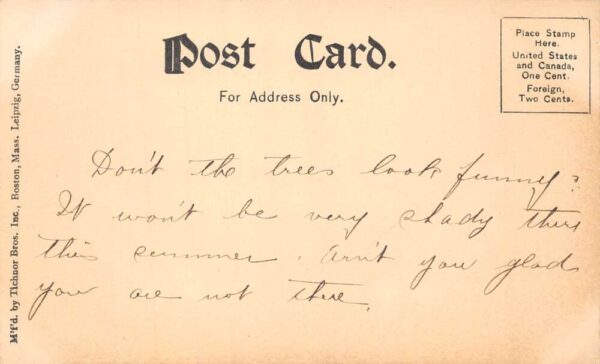 Chelsea Massachusetts Bellingham Hill Ruins Fire Disaster Postcard AA99514 - Image 2